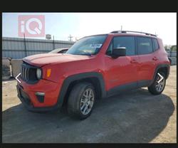 جيب رينيجيد